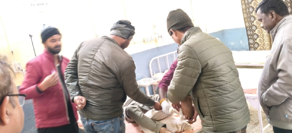 घायल लोग घायल लोग