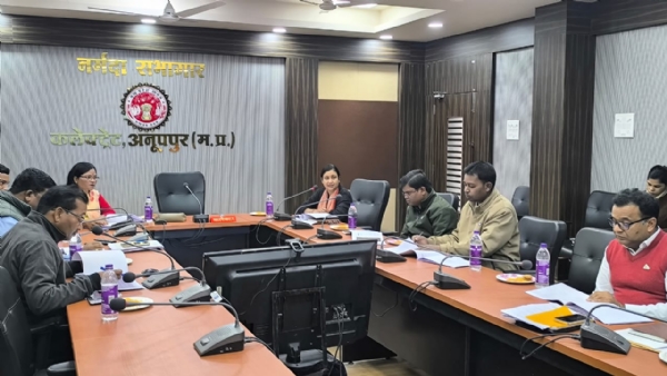 जिला स्तरीय सतर्कता एवं मॉनिटरिंग समिति की बैठक जिला स्तरीय सतर्कता एवं मॉनिटरिंग समिति की बैठक