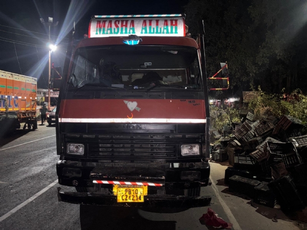 Cow smuggling attempt foiled, 16 cattle rescued Cow smuggling attempt foiled, 16 cattle rescued