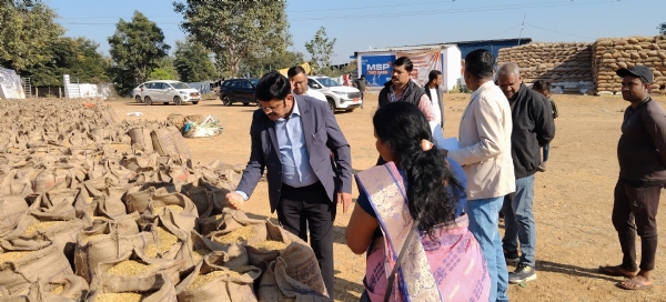 मार्कफेड अधिकारी ने किया निरीक्षण मार्कफेड अधिकारी ने किया निरीक्षण