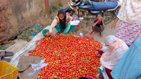 इतवारी बाजार में टमाटर खरीदती हुई महिलाएं। इतवारी बाजार में टमाटर खरीदती हुई महिलाएं।