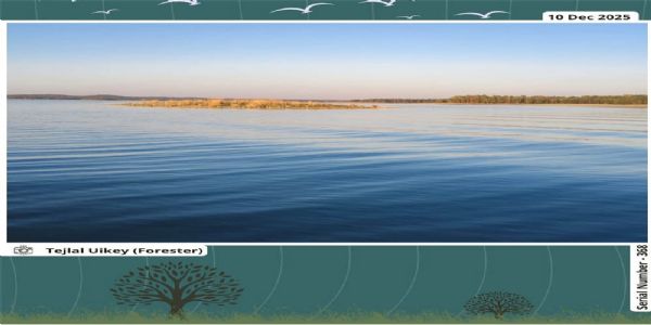 सिवनीः पेंच टाइगर रिज़र्व में शांत आर्द्रभूमि का अद्भुत नज़ारा