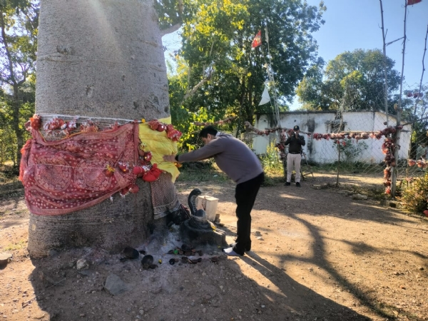 कल्प वृक्ष की पूजा करते हुए कल्प वृक्ष की पूजा करते हुए