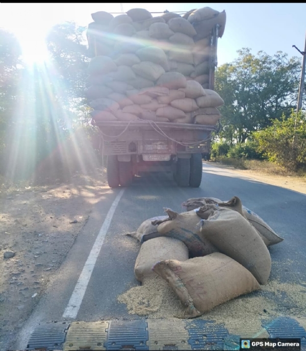 ट्रक में सड़क पर गिरी धान की बोरियाँ ट्रक में सड़क पर गिरी धान की बोरियाँ