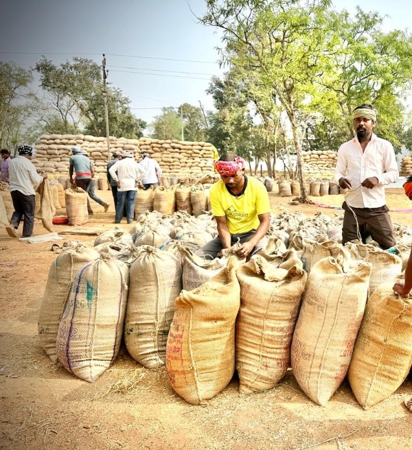धान उपार्जन केंद्र में धान की तौलाई करते हुए किसान। धान उपार्जन केंद्र में धान की तौलाई करते हुए किसान।