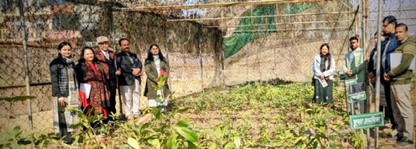 नर्सरी मान्यता हेतु नेशनल हॉर्टिकल्चर बोर्ड की टीम ने बागवानी केंद्र धौलाकुआं का किया दौरा नर्सरी मान्यता हेतु नेशनल हॉर्टिकल्चर बोर्ड की टीम ने बागवानी केंद्र धौलाकुआं का किया दौरा