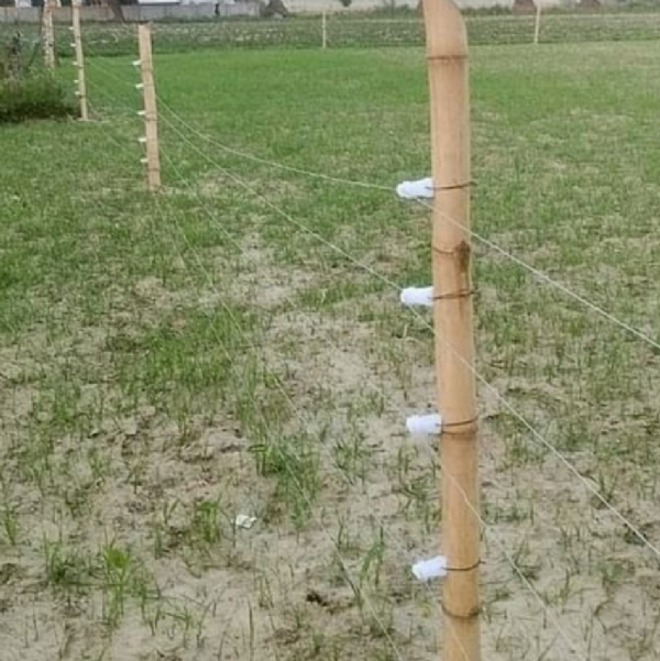 फाईल फोटो खेत की फाईल फोटो खेत की