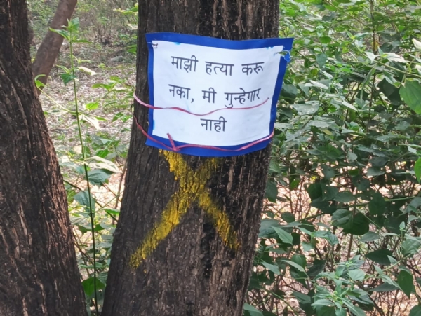 Investigation trees felling psychiatrist hospital