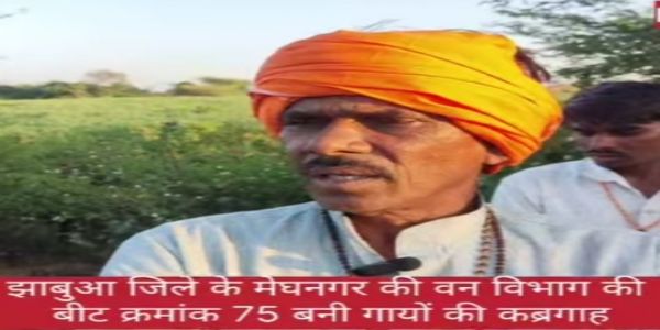 गायों का कत्लगाह बना फारेस्ट बीट क्रमांक 75, आक्रोशित ग्रामीणों ने कहा वन विभागीय अमले के संरक्षण में हुआ हजारों गायों का कत्ल