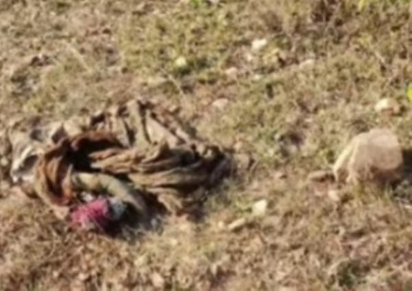 सजेली बना गायों का कत्लगाह सजेली बना गायों का कत्लगाह