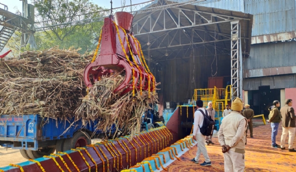 शुगर मील में पहुुंची गन्ने की ट्राली। शुगर मील में पहुुंची गन्ने की ट्राली।