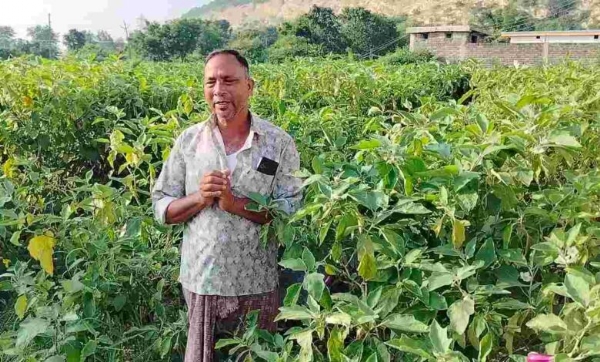 मुरलीधर की खेती मुरलीधर की खेती