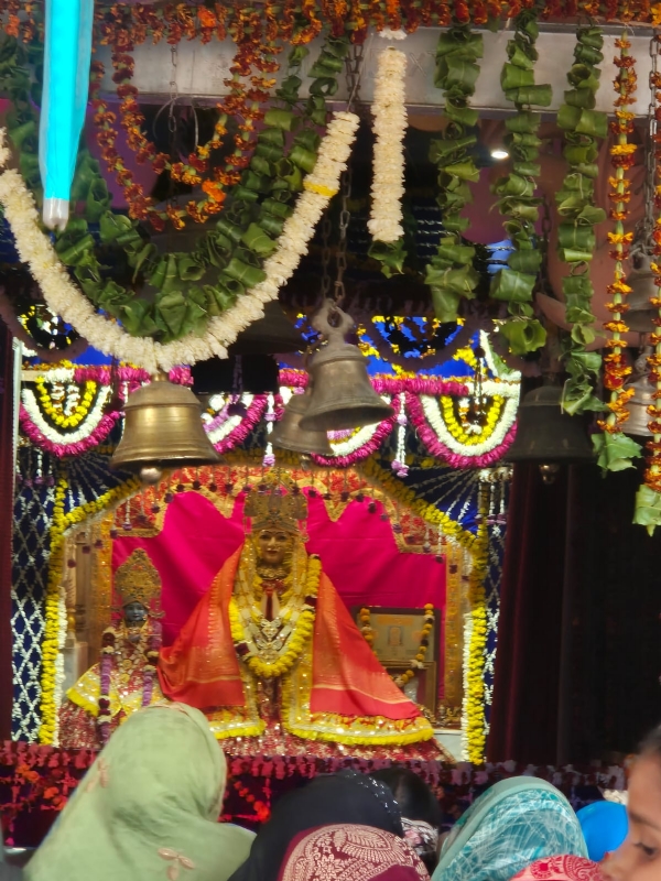 महालक्ष्मी की अलौकिक छवि महालक्ष्मी की अलौकिक छवि