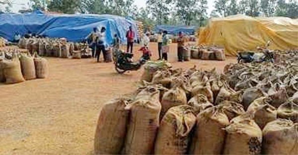 धान खरीद केंद्र धान खरीद केंद्र