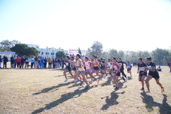 महिलाओं की दौड प्रतियोगिता महिलाओं की दौड प्रतियोगिता