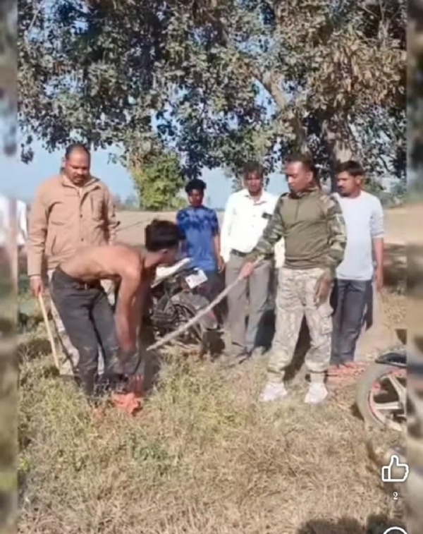 वायरल वीडियाे वायरल वीडियाे