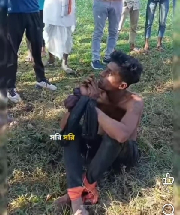 वायरल वीडियाे वायरल वीडियाे