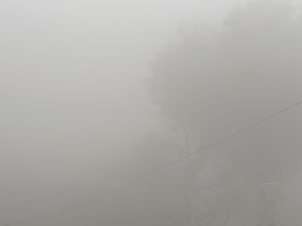 घने कोहरे के कारण खेतों छाया अंधेरा घने कोहरे के कारण खेतों छाया अंधेरा