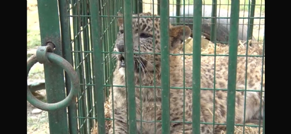प्रतीकात्मक चित्र प्रतीकात्मक चित्र