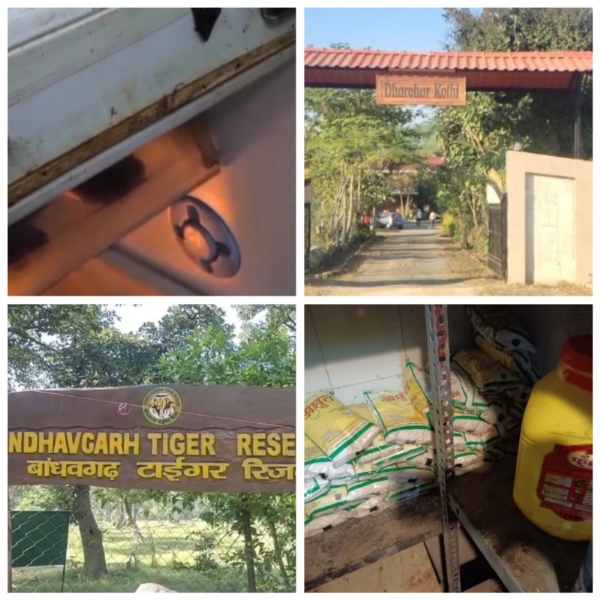 बांधवगढ़ के रिसोर्ट में पर्यटक खा रहे गरीबों का सरकारी नमक फ्लाइंग स्क्वाड ने किया खुलासा बांधवगढ़ के रिसोर्ट में पर्यटक खा रहे गरीबों का सरकारी नमक फ्लाइंग स्क्वाड ने किया खुलासा