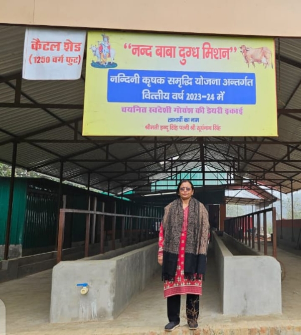 *स्वदेशी उन्नत नस्ल के 25 गोवंश से डेयरी लगाने पर परियोजना लागत का मिलता है 50 प्रतिशत अनुदान* *स्वदेशी उन्नत नस्ल के 25 गोवंश से डेयरी लगाने पर परियोजना लागत का मिलता है 50 प्रतिशत अनुदान*