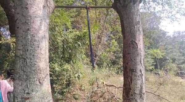 यहीं लटका मिला था युवक का शव यहीं लटका मिला था युवक का शव
