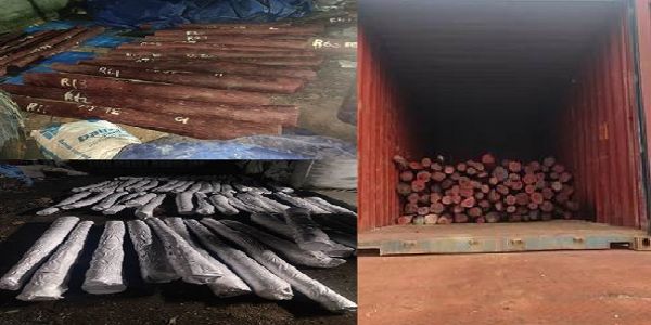 डीआरआई के जब्‍त 6.26 करोड़ रुपये मूल्य का 15 एमटी लाल चंदन