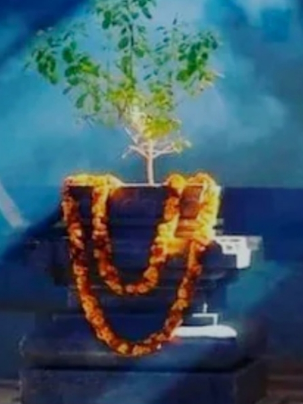 फाइल फोटो तस्वीर फाइल फोटो तस्वीर