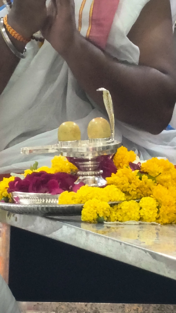 शिवलिंग के दर्शन शिवलिंग के दर्शन