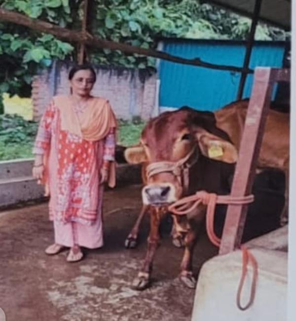 *स्वदेशी उन्नत नस्ल के 25 गोवंश से डेयरी लगाने पर परियोजना लागत का मिलता है 50 प्रतिशत अनुदान* *स्वदेशी उन्नत नस्ल के 25 गोवंश से डेयरी लगाने पर परियोजना लागत का मिलता है 50 प्रतिशत अनुदान*