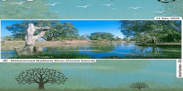 सिवनीः जंगलवालों की नज़र से जंगल की झलक