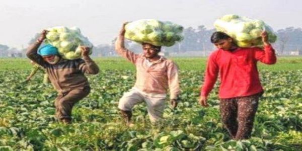 नवाचार से उत्तर प्रदेश के किसान हो रहे समृद्ध