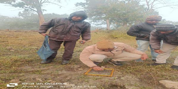 टाइगर स्टीेमेशन की प्रक्रिया शुरू, पहले दिन पलामू टाइगर रिजर्व में मिला बाघ का पगमार्क