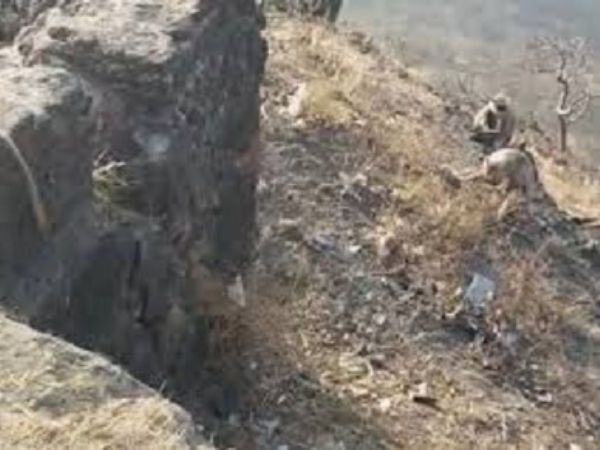 मप्र के महेश्वर में जाम गेट पर पैर फिसलने से बीटेक स्टूडेंट खाई में गिरा