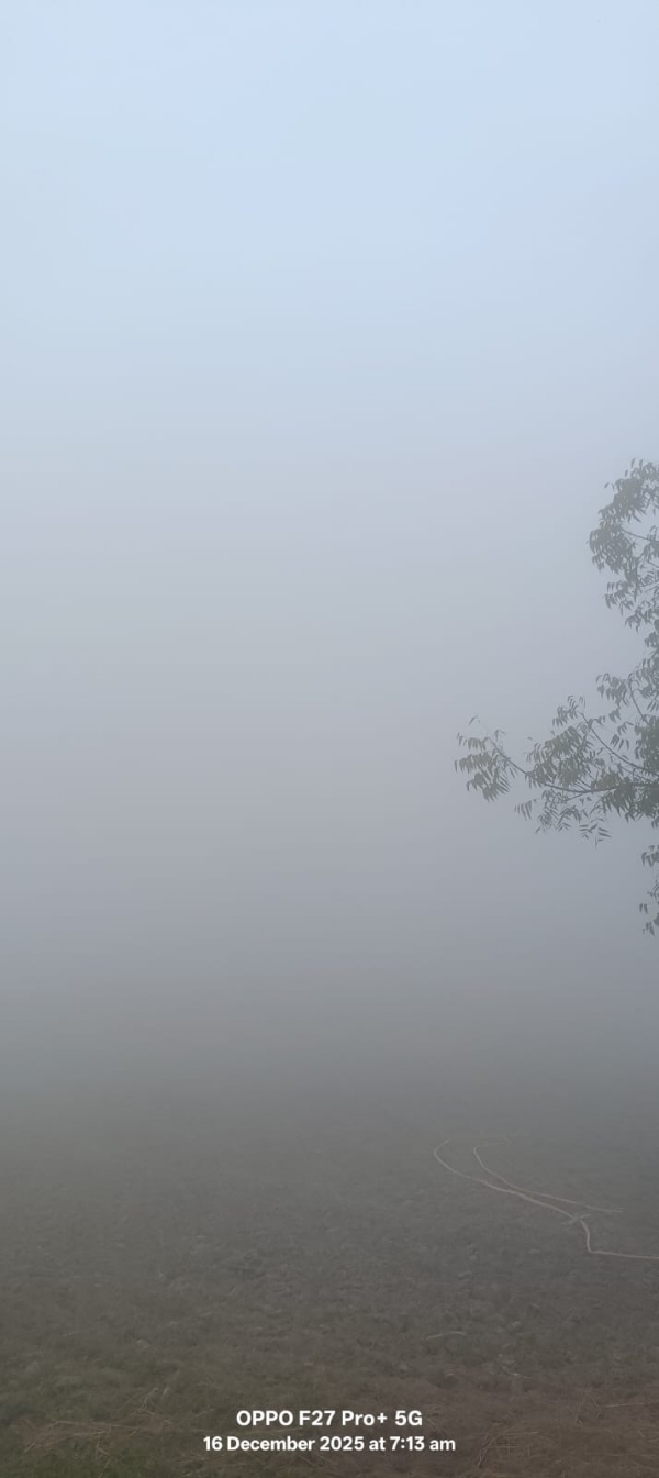 आसमान में बादल छाए घना कोहरा आसमान में बादल छाए घना कोहरा