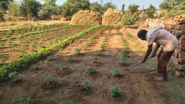 तीजराम केंवट का सहारा बनी मनरेगा डबरी तीजराम केंवट का सहारा बनी मनरेगा डबरी