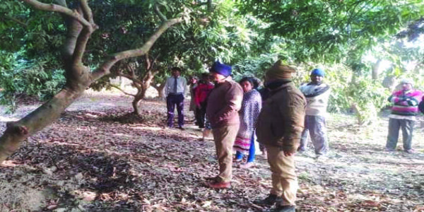 युवक ने आम के पेड़ से लटककर की आत्महत्या