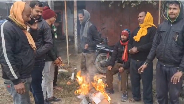 शीत लहर शीत लहर