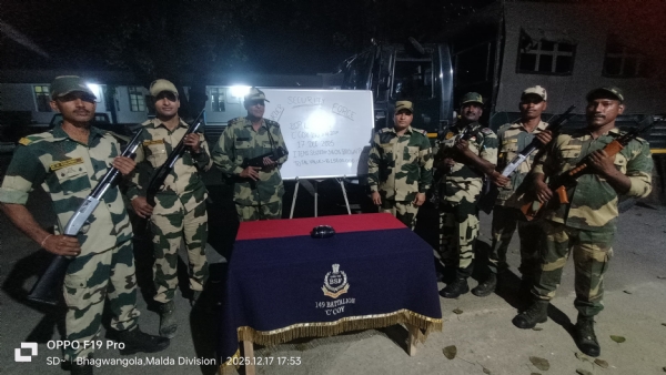 बीएसएफ बीएसएफ