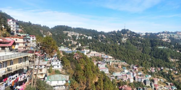 शिमला रोपवे में होगा 6.109 हेक्टेयर वन भूमि का इस्तेमाल, 13.79 किलोमीटर होगी लंबाई