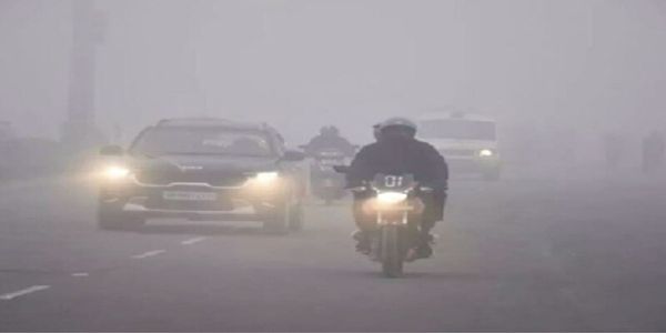 मध्‍य प्रदेश में शीतलहर और कोहरे का डबल अटैक, आज 13 जिलों में अलर्ट, पारा 5 डिग्री से नीचे