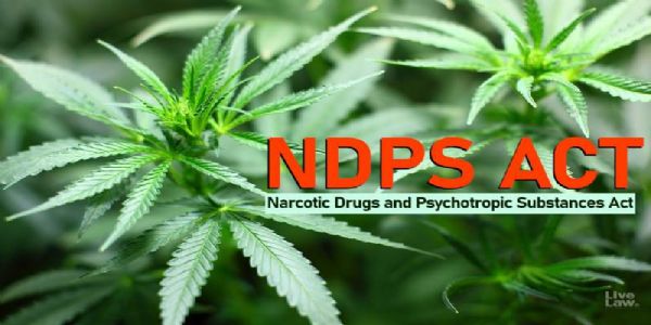 ठियोग में 26 ग्राम चिट्टा के साथ दो युवक गिरफ्तार