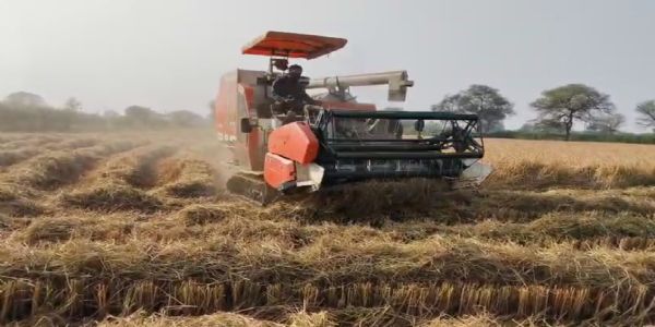 धमतरी : अंचल में धान कटाई-मिजाई का कार्य जोरों पर