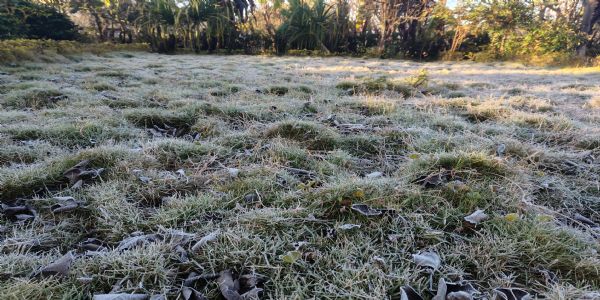 अनूपपुर: अमरकंटक में कड़ाके की ठंड, ओस की बूंदों से जमी बर्फ की चादर