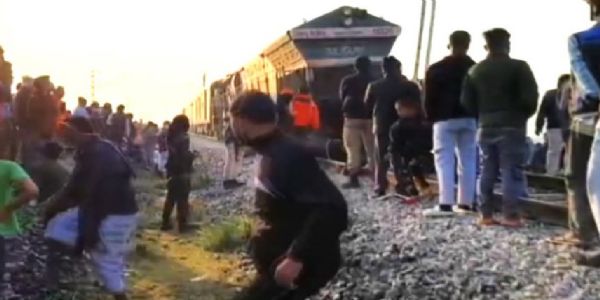 राजधानी एक्सप्रेस से टकराकर सात हाथियों की मौत