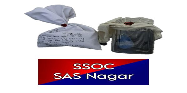 सिरसा थाने पर हमले की साजिश रचने वाला भगोड़ा सैनिक काबू