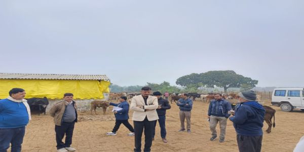 मऊ जिलाधिकारी ने गौशाला और कंपोजिट विद्यालय का किया औचक निरीक्षण