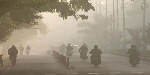 मध्‍य प्रदेश में ठंड के बीच उत्तरी हिस्से में छा रहा घना कोहरा, 20 जिलों में ज्यादा असर, लुढ़का पारा