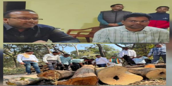 वन विभाग मनमाने तरीके से पेड़ों की कटाई कर रहा, पूरे मामले की निष्पक्ष जांच कराई जाए : विक्रम मंड़ावी