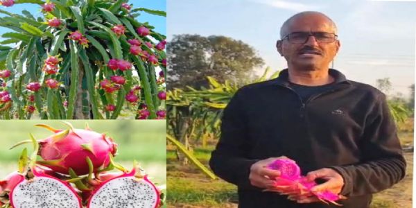 सेवानिवृत्त शिक्षक जीवन सिंह राणा ने रची सफलता की नई इबारत